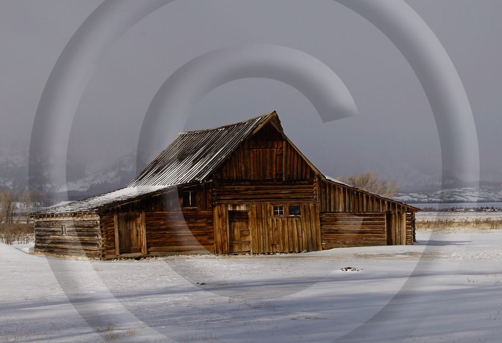 LS - Wyoming 14 -  L-WY-GTNP_BRN_002_KD11866