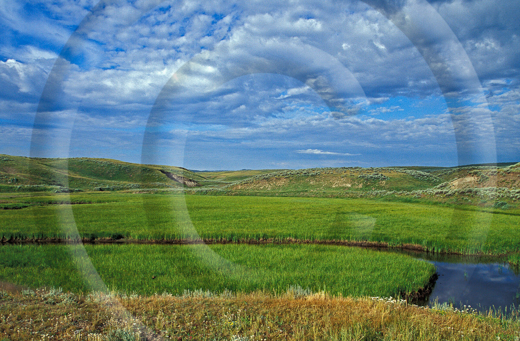 LS - Wyoming 17 -  L-WY-YLNP_001_T_043_103_2000-1