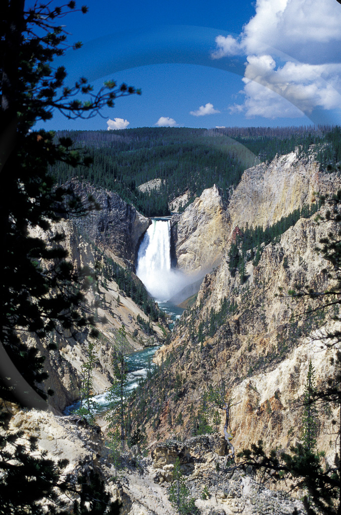 LS - Wyoming 19 -  L-WY-YLNP_003_T_044_020_2000