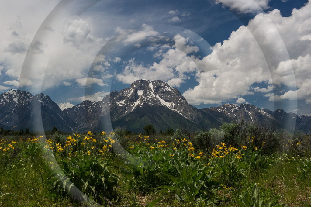 LS - Wyoming 38 - L-WY-GTNP_038_W307017