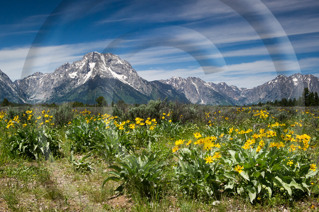 LS - Wyoming 40 - L-WY-GTNP_040_W306917